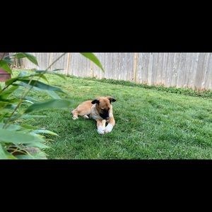 Meet your Posher, Kaila